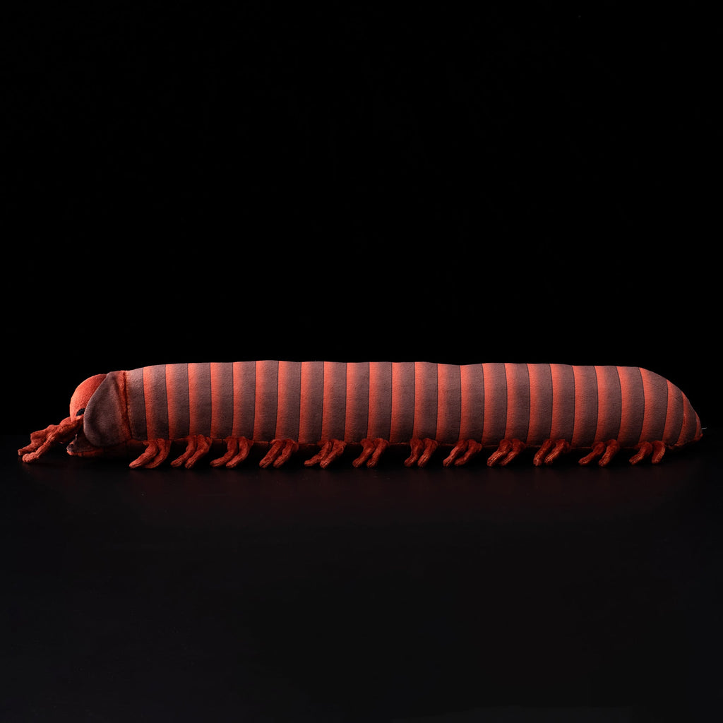 Specimen 1 - Giant African Millipede Plush