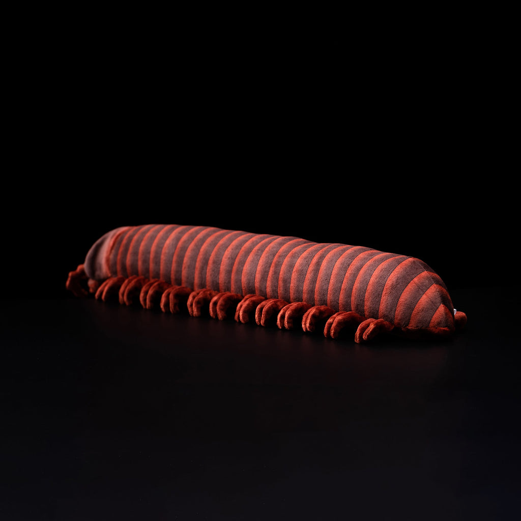 Specimen 1 - Giant African Millipede Plush