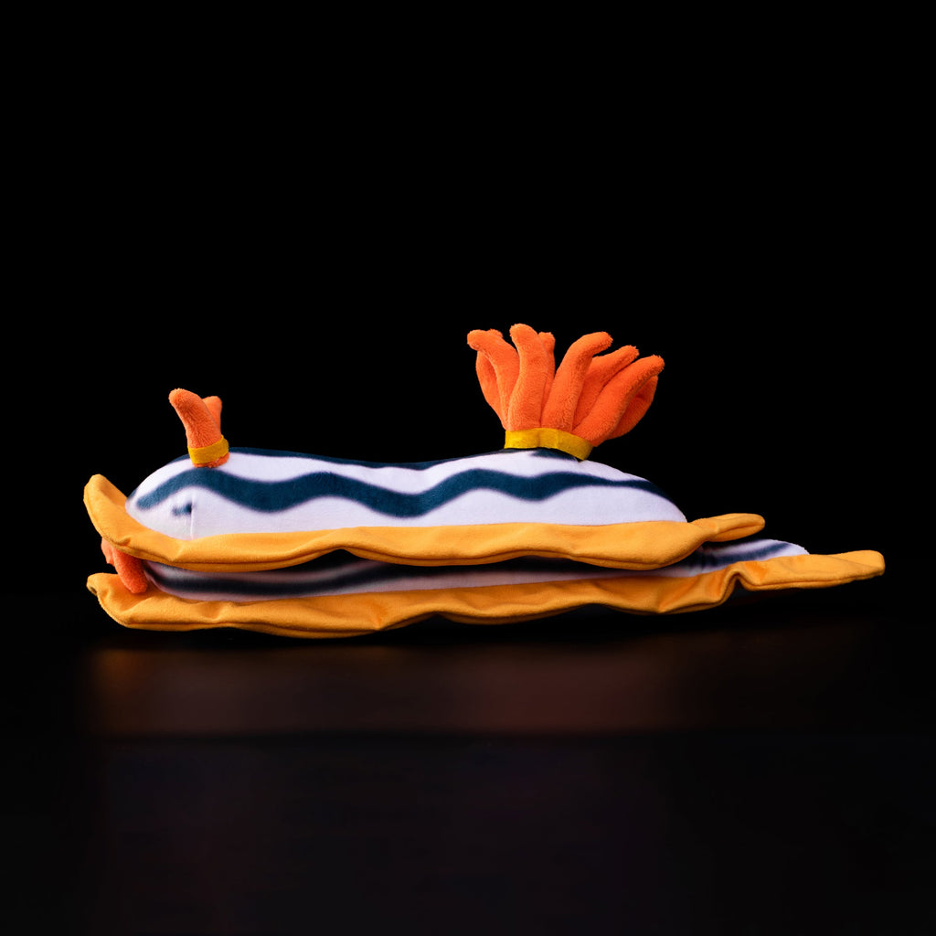 Specimen 2 - Magnificent Sea Slug Plush