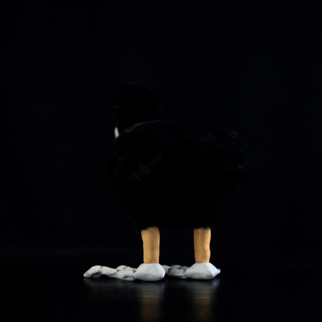 Eurasian Coot Bird Stuffed Plush Toy