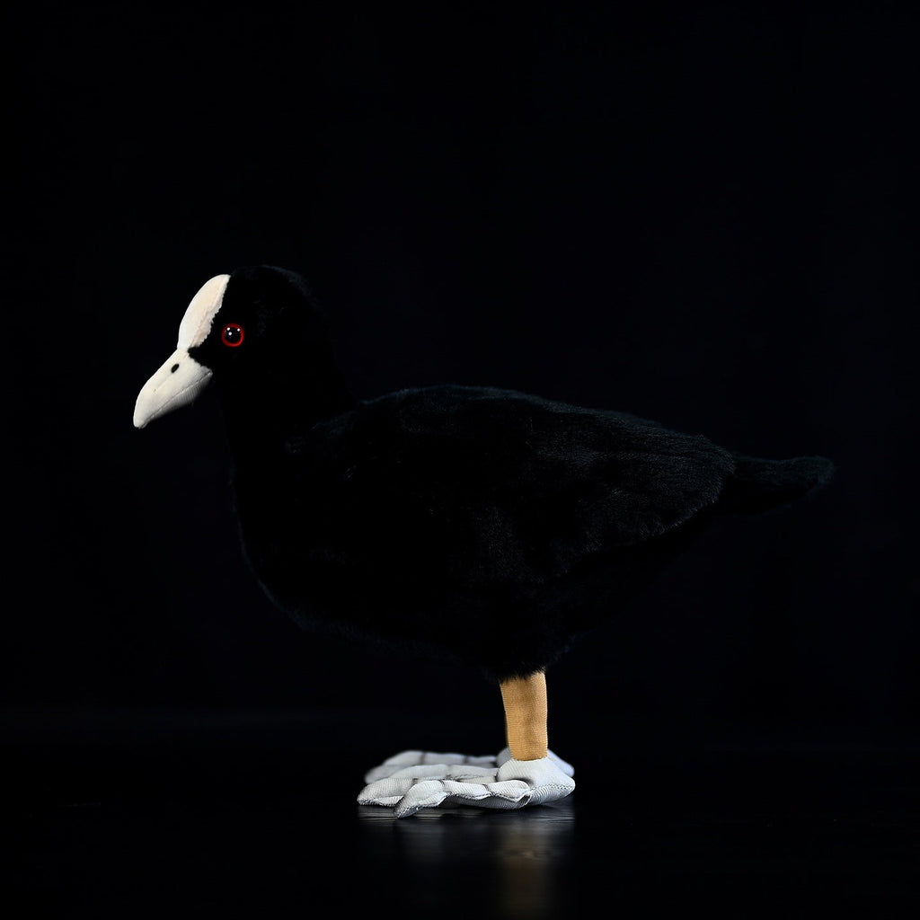 Eurasian Coot Bird Stuffed Plush Toy