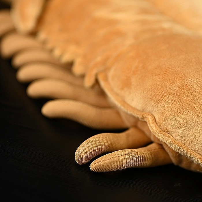Asaphus Kowalewskii Trilobite Soft Stuffed Plush Toy
