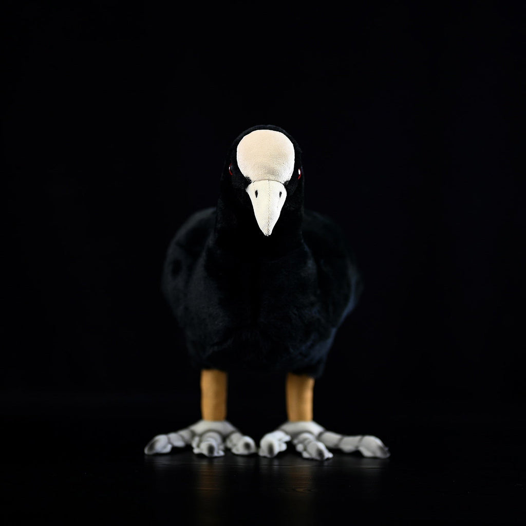 Eurasian Coot Bird Stuffed Plush Toy