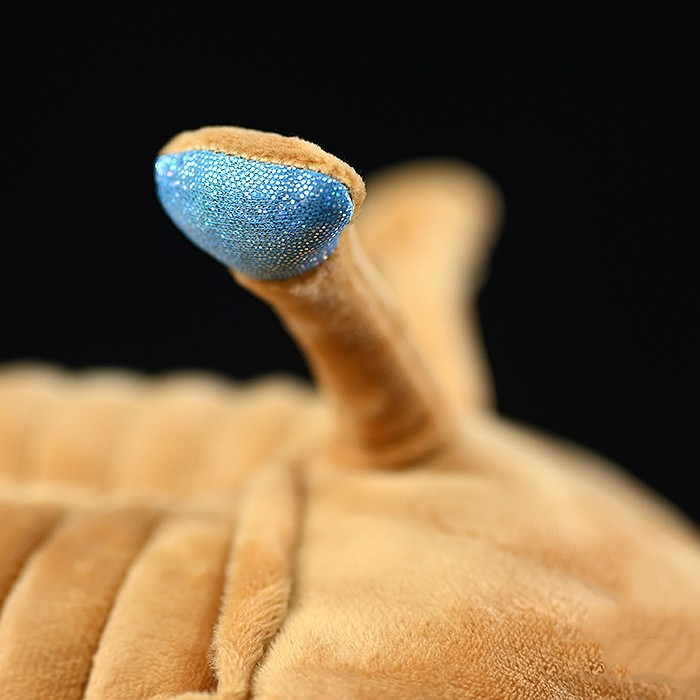 Asaphus Kowalewskii Trilobite Soft Stuffed Plush Toy