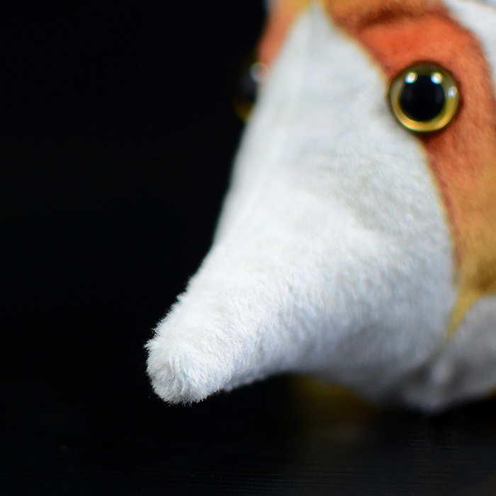 Copperband Butterfly Fish Soft Stuffed Plush Toy