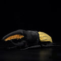 Hercules Beetles Soft Stuffed Plush Toy