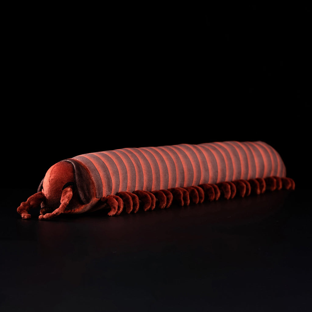 Specimen 1 - Giant African Millipede Plush