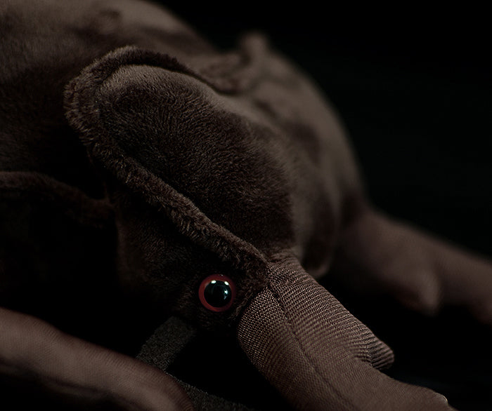 Stag Beetle Soft Stuffed Plush Toy