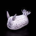 Specimen 4 - Sea Bunny Nudibranch Plush