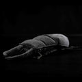 Titan Stag Beetle Soft Stuffed Plush Toy