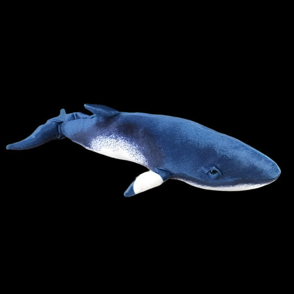Minke Whale Soft Stuffed Plush Toy